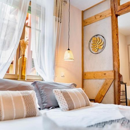 Au Petit Lion, Colmar Centre Garage Gratuit Apartman Kültér fotó