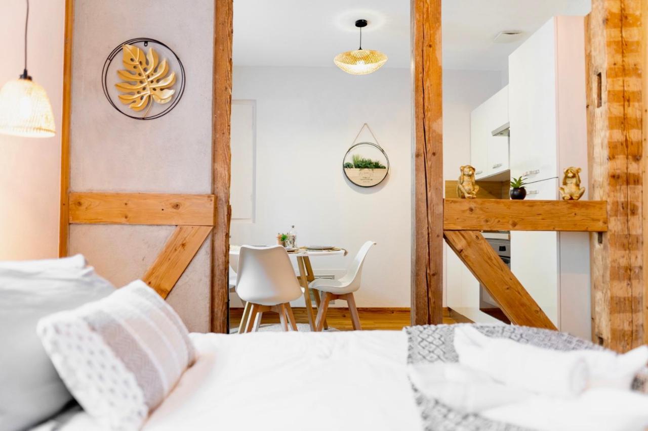 Au Petit Lion, Colmar Centre Garage Gratuit Apartman Kültér fotó