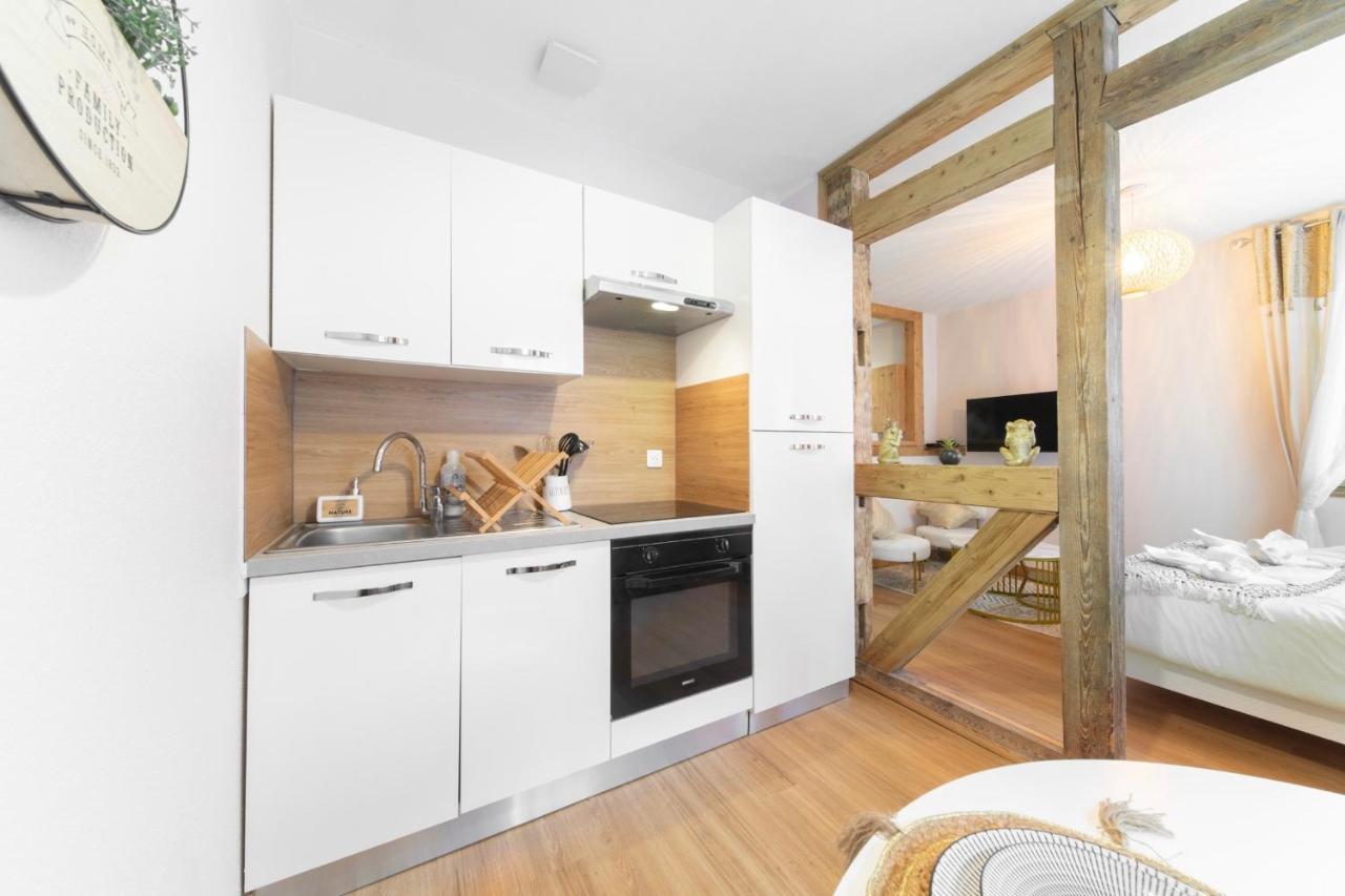 Au Petit Lion, Colmar Centre Garage Gratuit Apartman Kültér fotó